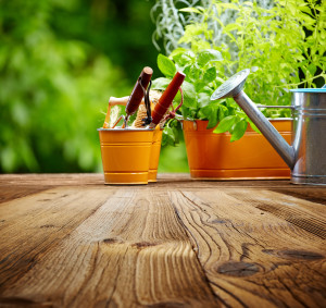 Outdoor gardening tools on old wood table